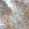 silver-schub-sparkle
